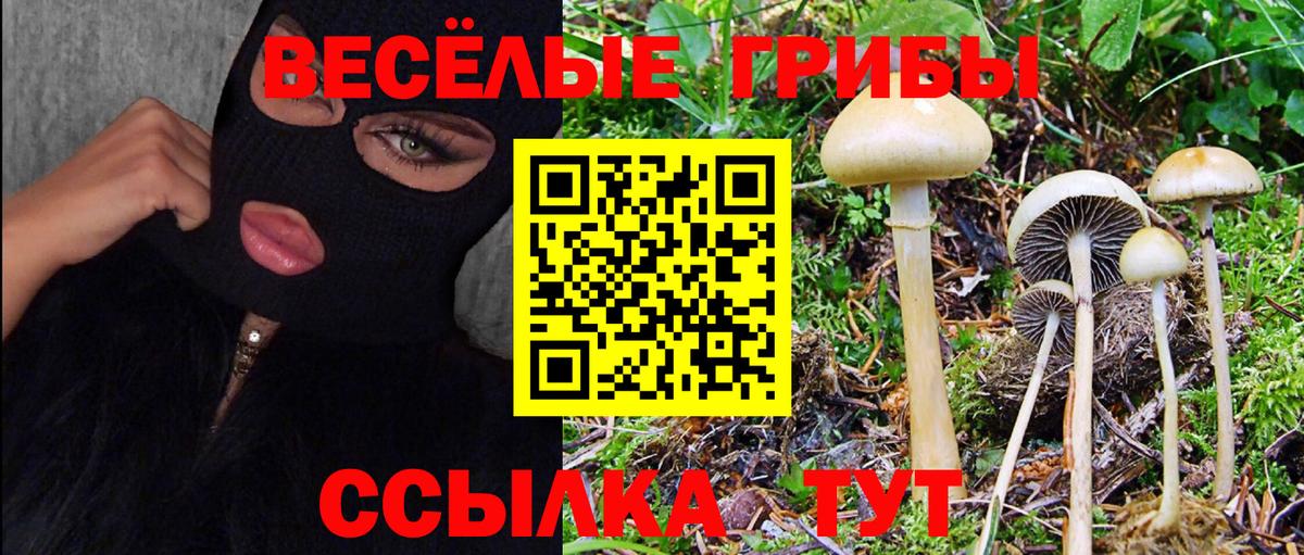 Галлюциногенные грибы ЛСД  купить  цена  Когалым  Вход с VPN 