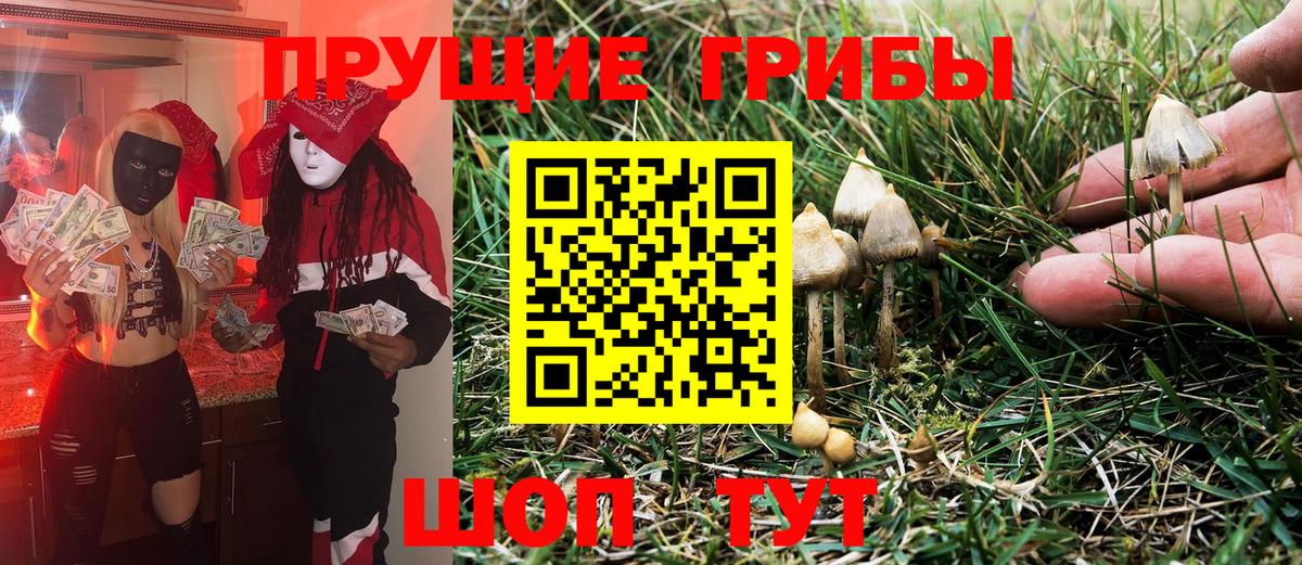 Галлюциногенные грибы Cubensis Когалым